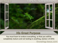 The Light Of His Great Purpose